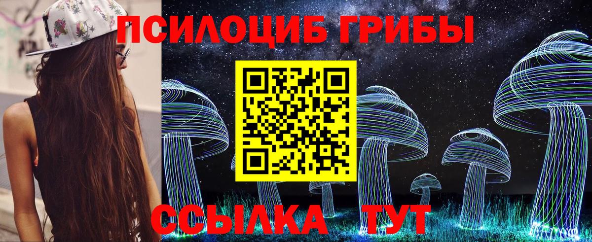 Псилоцибиновые грибы MAGIC MUSHROOMS  Вход с VPN  Вольск 